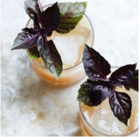 Fig and Basil Vodka Smash – vomFASS Madison University Avenue