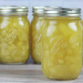Zinapple (mock pineapple) with Zango (mock mango) adaptation